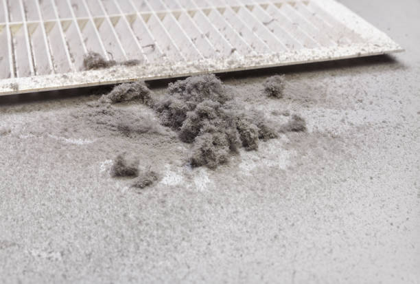 Best Ductwork Cleaning Services  in Regency At Monroe, NJ